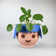 Zimmerpflanze mit Topf 'Playmobil' | Blau, Verschiedene Variationen