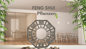 Feng Shui Pflanzen