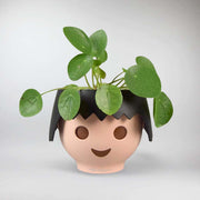 Playmobil Topf und Ufopflanze - Chinesischer Geldbaum | Beste Pflanzen für Kinder.